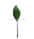 PLUMA DE PATO RECORTADA 15 CMS.