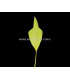 ARROW FEATHER 15 CMS.