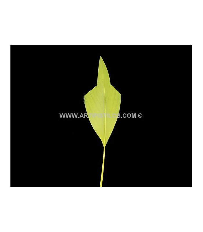 ARROW FEATHER 15 CMS.