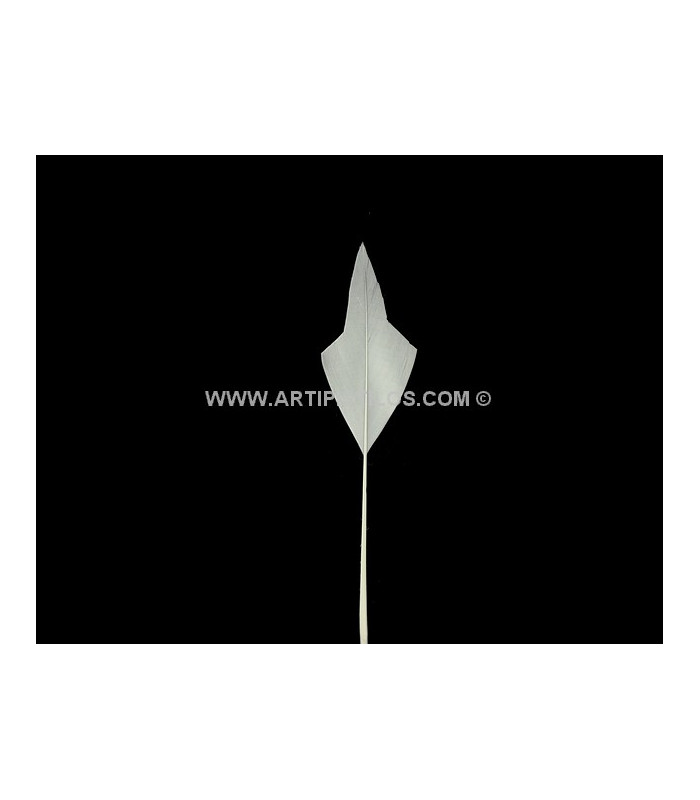 ARROW FEATHER 15 CMS.