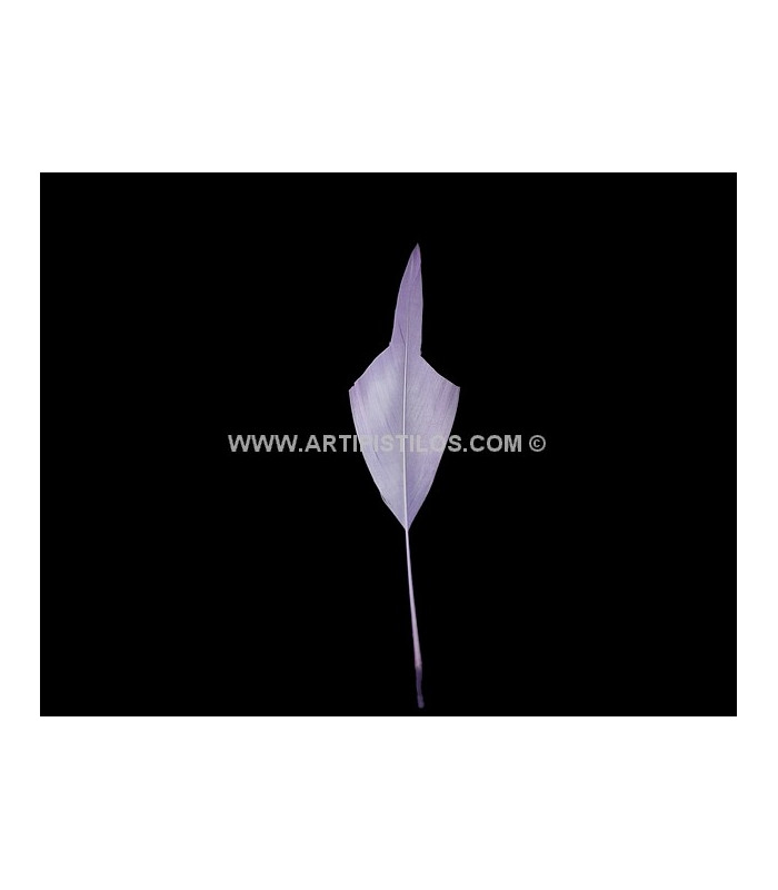 ARROW FEATHER 15 CMS.