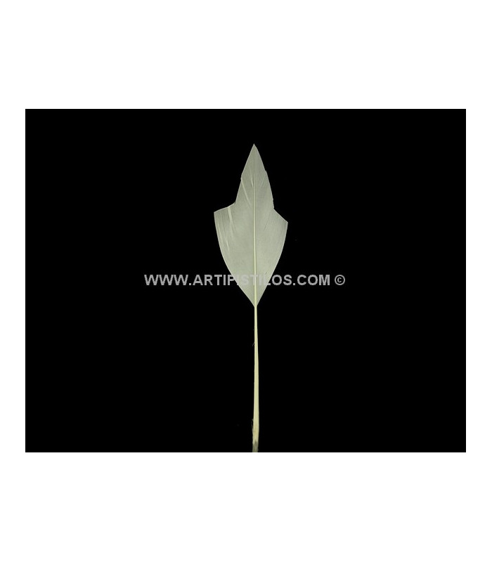 ARROW FEATHER 15 CMS.