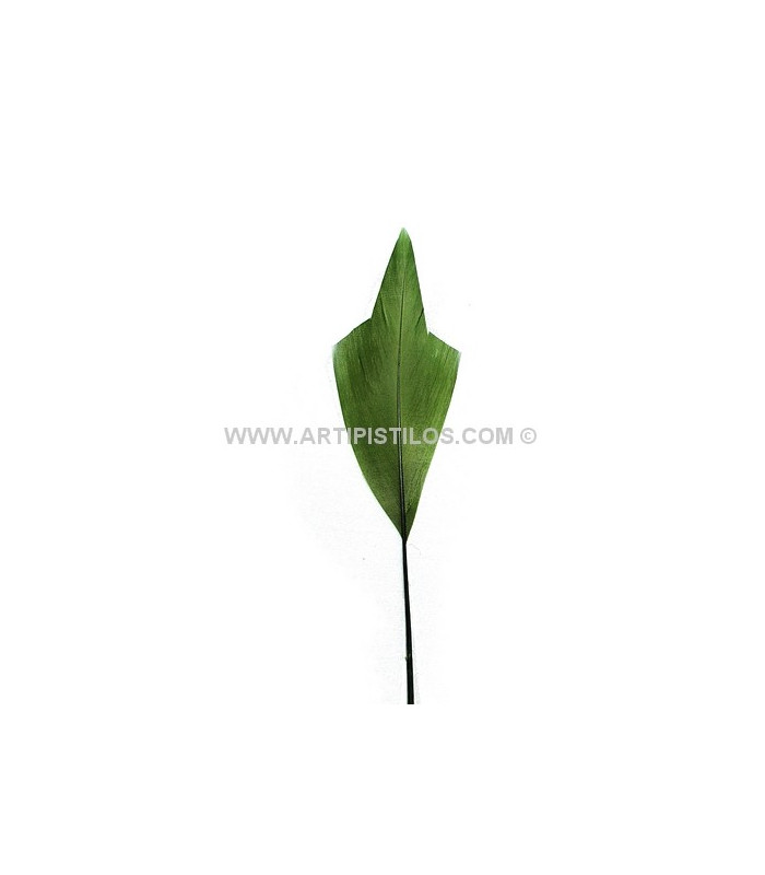 ARROW FEATHER 15 CMS.