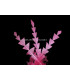 PLUMAS DE PATO DIAMANTE 15 CMS.