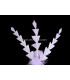 DUCK DIAMOND FEATHERS 15 CMS.