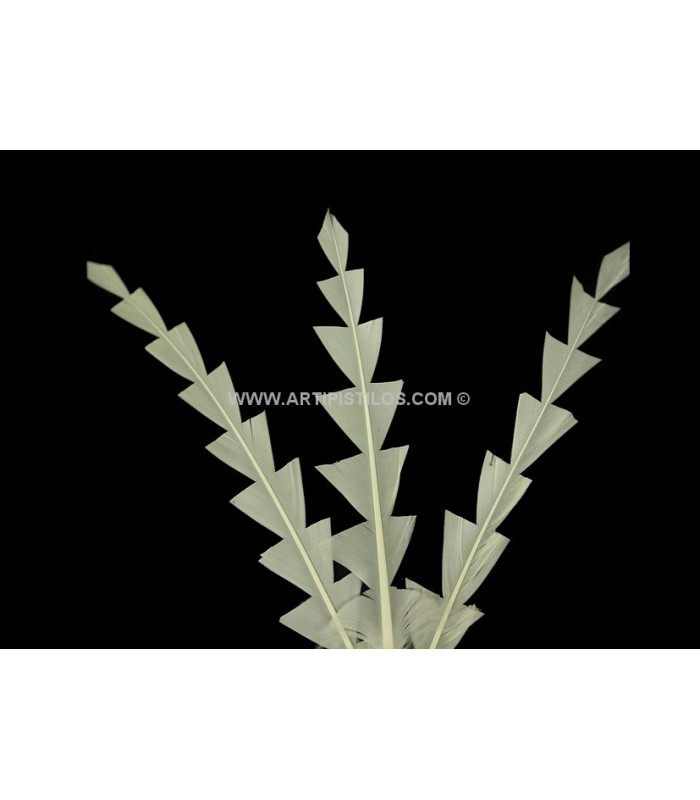 DUCK DIAMOND FEATHERS 15 CMS.