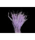 PLUMA DIAMANTE 20 CMS.