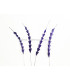 PLUMA DIAMANTE 20 CMS.