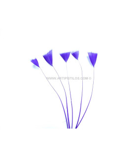 STRIPPED ROOSTER FEATHER 15 CMS.