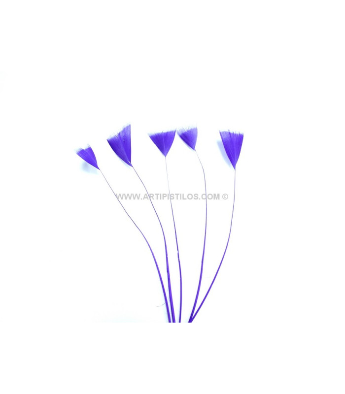 STRIPPED ROOSTER FEATHER 15 CMS.