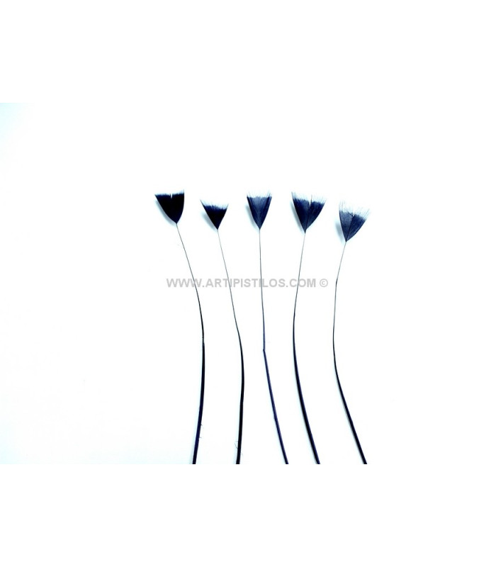 STRIPPED ROOSTER FEATHER 15 CMS.