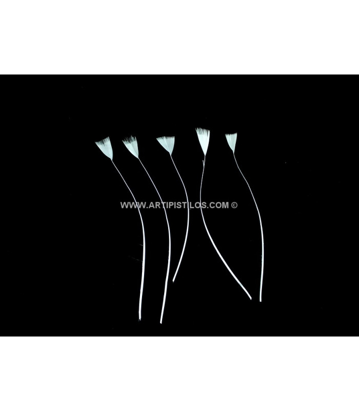 STRIPPED ROOSTER FEATHER 15 CMS.