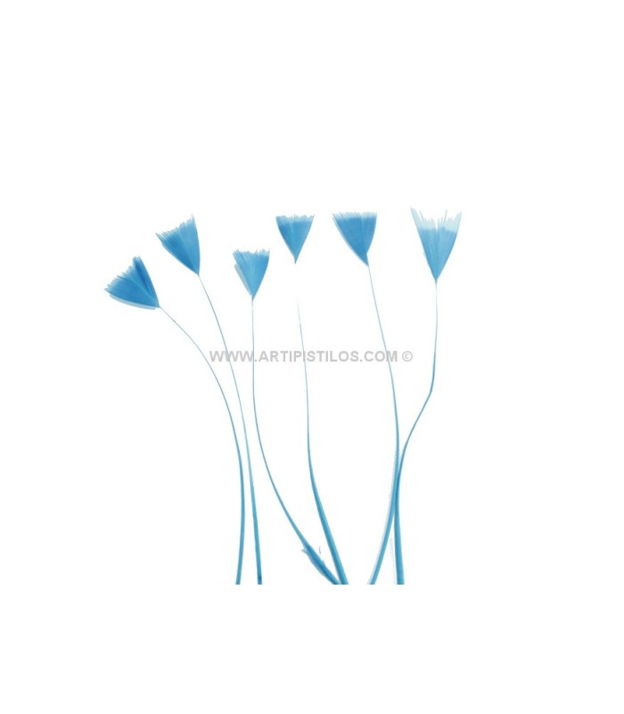 STRIPPED ROOSTER FEATHER 15 CMS.