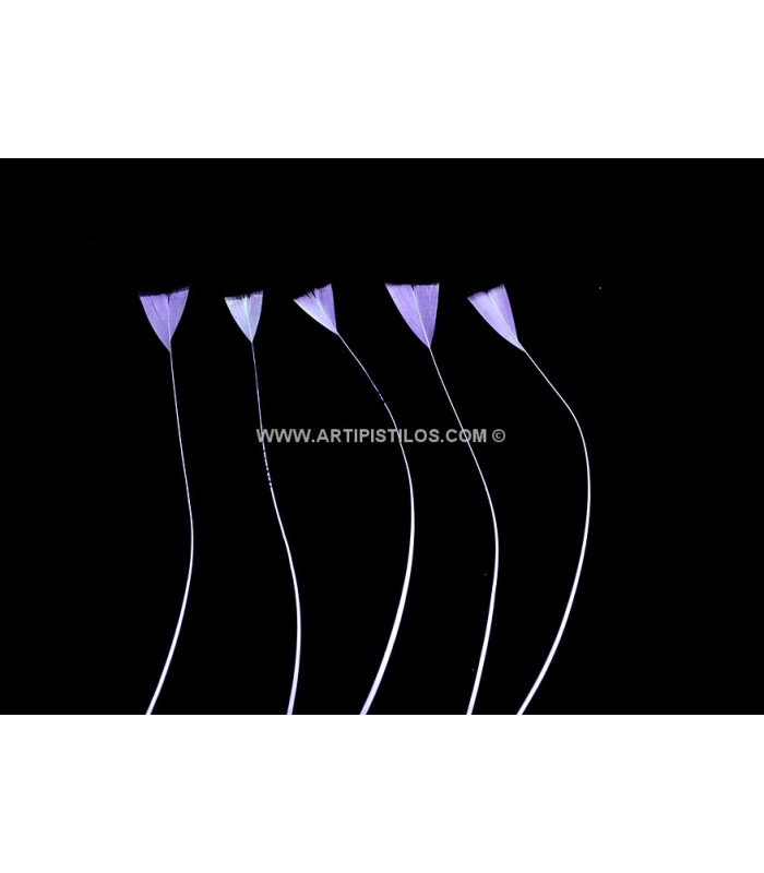 STRIPPED ROOSTER FEATHER 15 CMS.