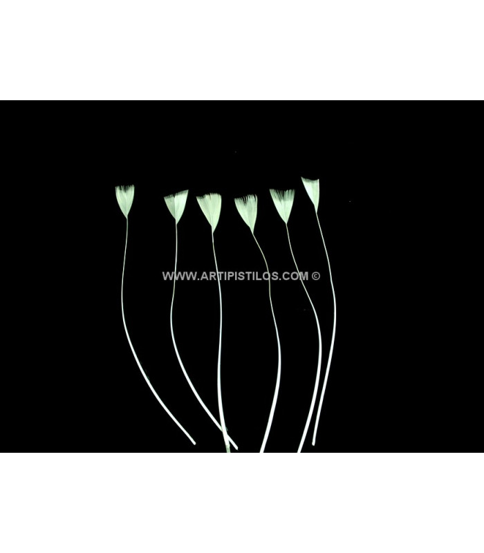 STRIPPED ROOSTER FEATHER 15 CMS.
