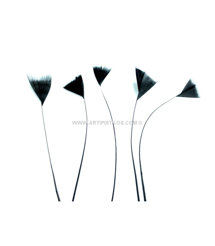 STRIPPED ROOSTER FEATHER 15 CMS.