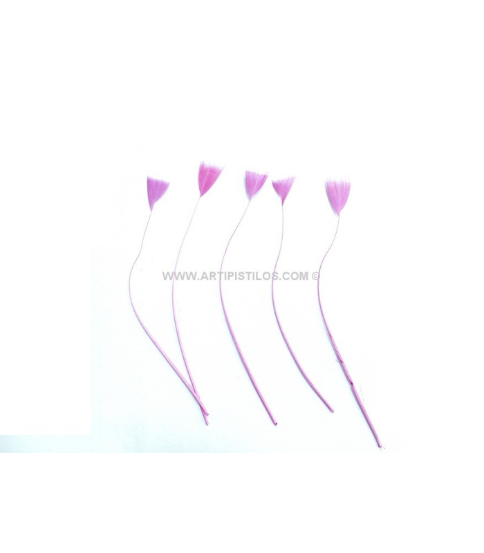 STRIPPED ROOSTER FEATHER 15 CMS.