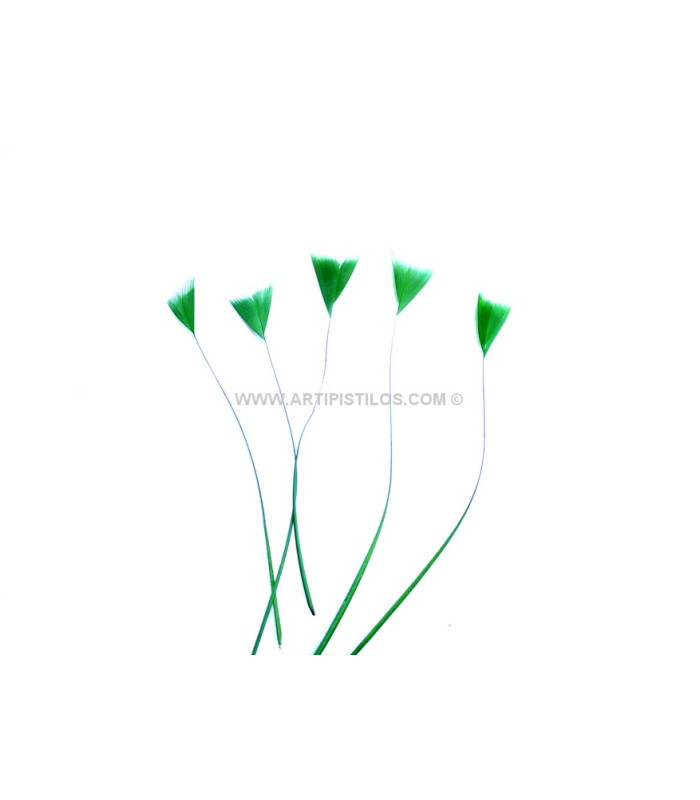 STRIPPED ROOSTER FEATHER 15 CMS.