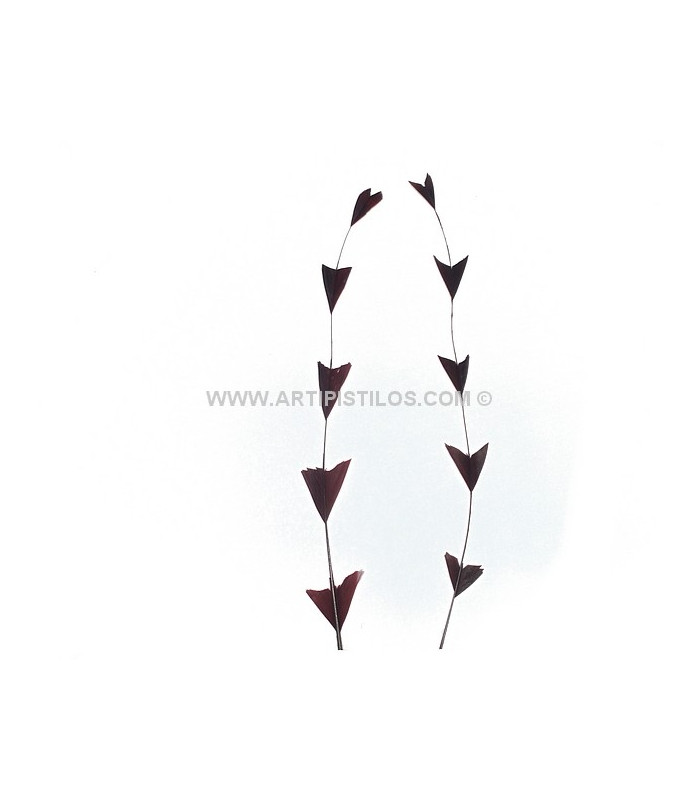 PLUMA RECORTADA ARROW BICOLOR 28 CMS.
