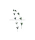 PLUMA RECORTADA ARROW BICOLOR 28 CMS.