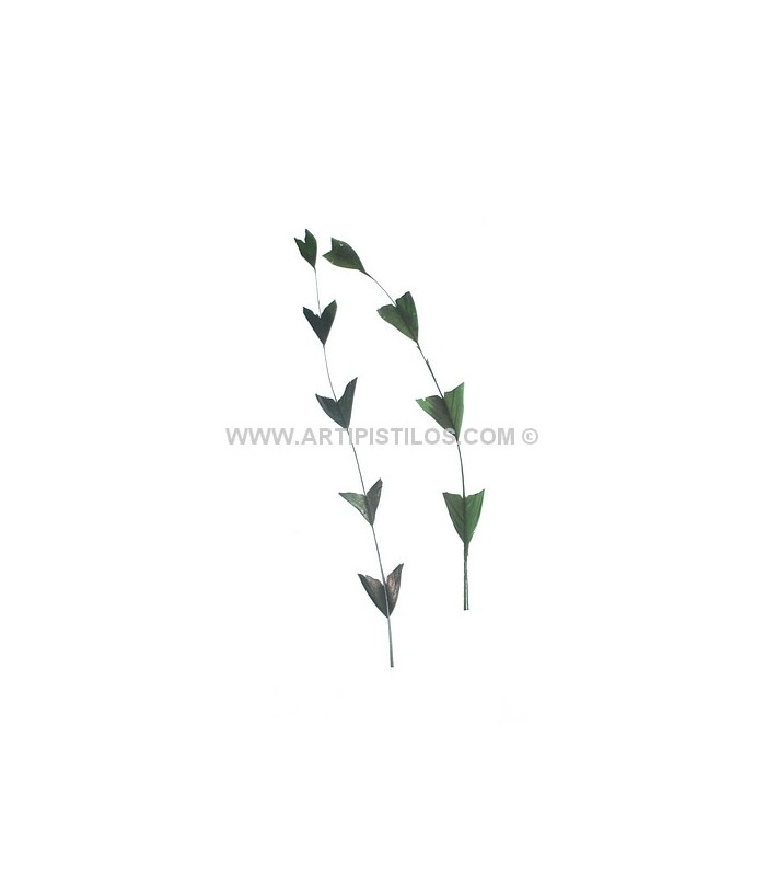 PLUMA RECORTADA ARROW BICOLOR 28 CMS.