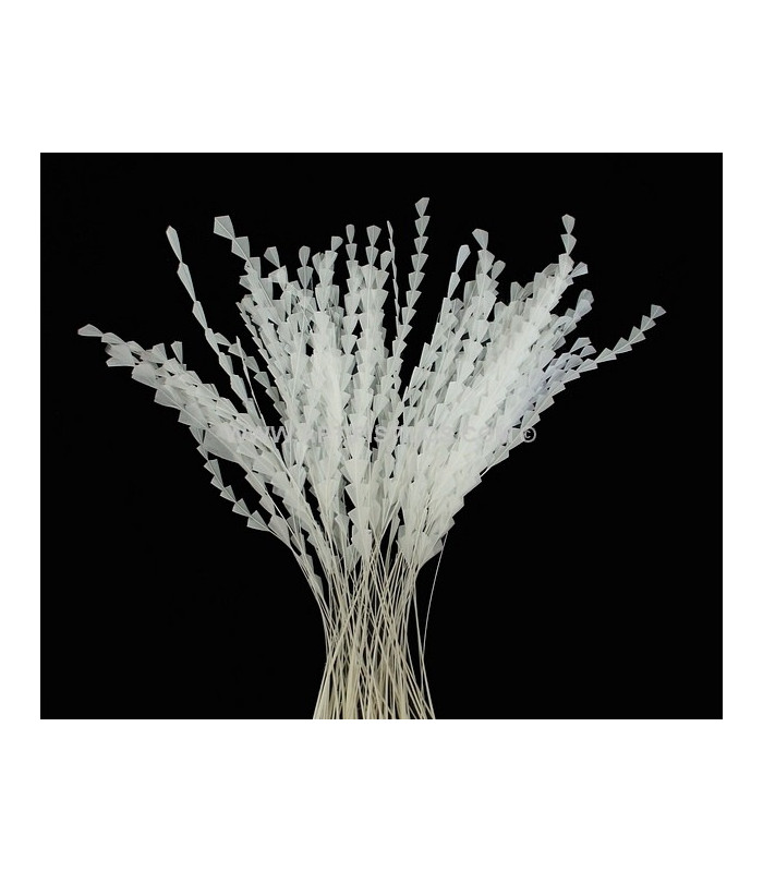 PLUMA DIAMOND 28 - 30 CMS.
