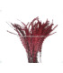 PLUMA DIAMOND 28 - 30 CMS.