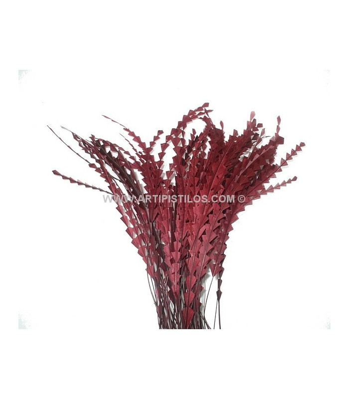 PLUMA DIAMOND 28 - 30 CMS.