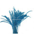 PLUMA DIAMOND 28 - 30 CMS.