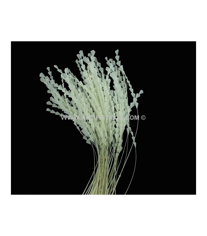 PLUMA DIAMOND 28 - 30 CMS.