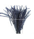 PLUMA DIAMOND 28 - 30 CMS.