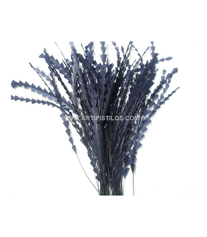 PLUMA DIAMOND 28 - 30 CMS.