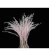 PLUMA DIAMOND 28 - 30 CMS.