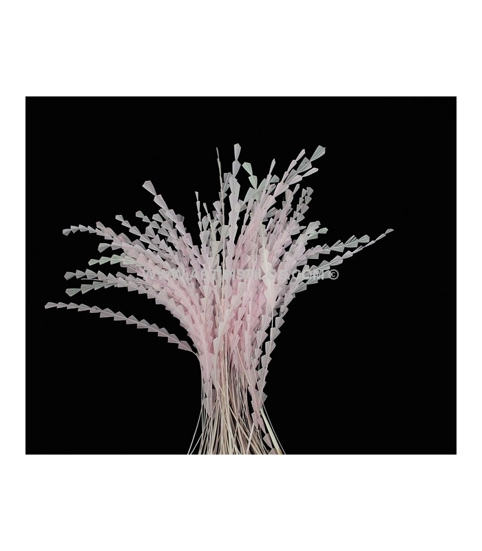 PLUMA DIAMOND 28 - 30 CMS.