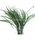 PLUMA DIAMOND 28 - 30 CMS.