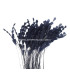 ANTENA DE GALLO DIAMOND 30 CMS.
