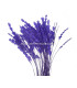 PENAS DE ANTENA DE GALO DIAMOND 30 CMS.