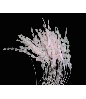 STRIPPED ROOSTER FEATHERS DIAMOND 30 CMS.