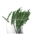 PENAS DE ANTENA DE GALO DIAMOND 30 CMS.