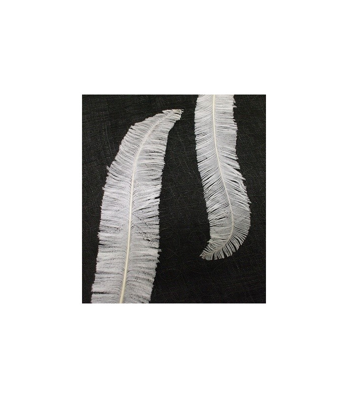 OSTRICH FEATHER 55 65 CMS. Ostrich Feathers Materials for