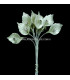 PORCELAIN FLOWER "CALA" WITH RHINESTONE