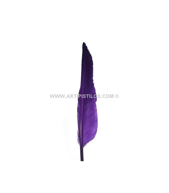 PLUMA DE OCA 25 CMS.