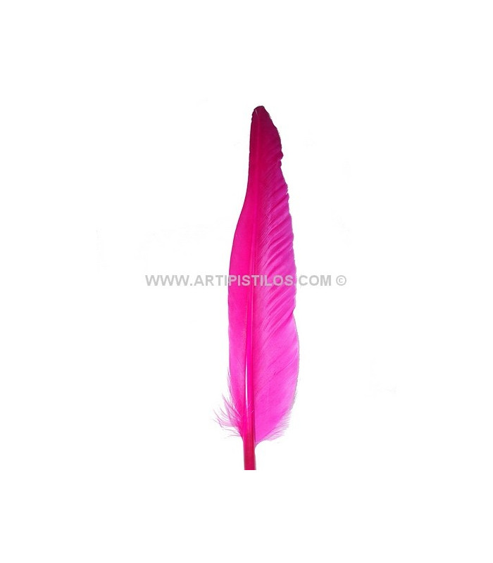 PLUMA DE OCA 25 CMS.