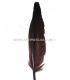 PLUMA DE OCA 25 CMS.