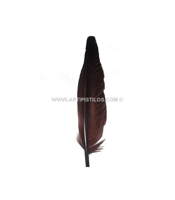 PLUMA DE OCA 25 CMS.