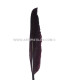 PLUMA DE OCA 25 CMS.