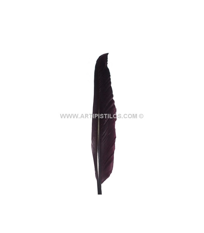 PLUMA DE OCA 25 CMS.