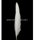 PLUMA DE OCA 25 CMS.