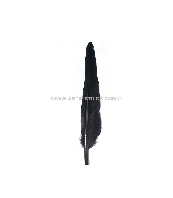 PLUMA DE OCA 25 CMS.
