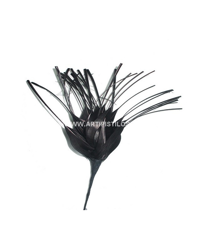 FLOR DE PLUMAS